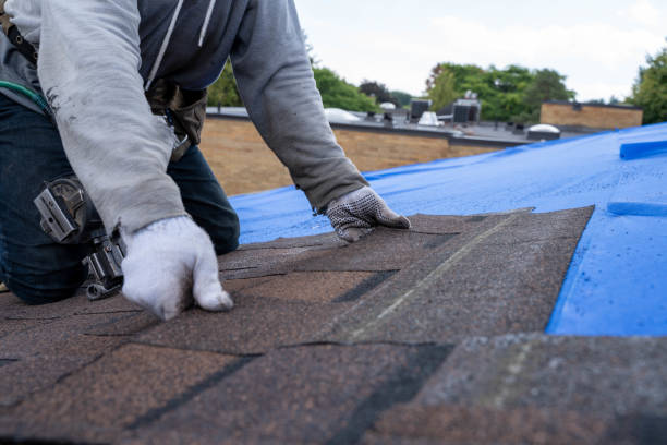 Best Storm Damage Roof Repair  in Rayre, MO