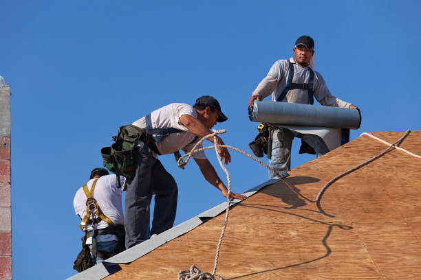 Best Flat Roof Repair Services  in Rayre, MO