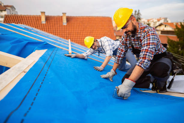 Best Local Roofing Companies  in Rayre, MO