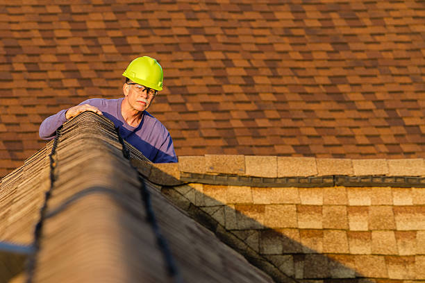 Best Roof Repair Services  in Rayre, MO